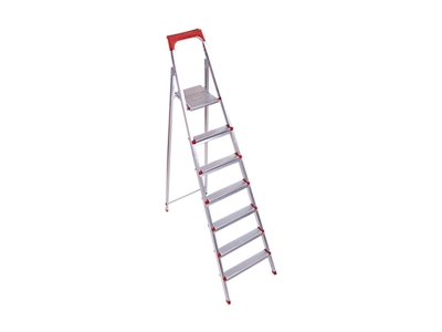 Six Steps Standard Ladders