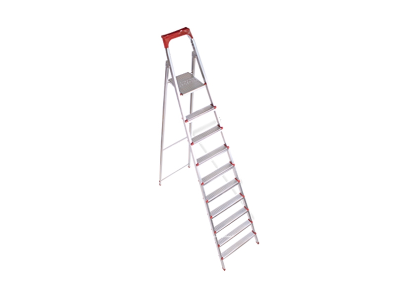 Nine Steps Standard Ladders