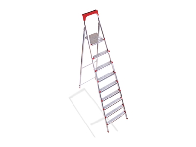 Eight Steps Standard Ladders