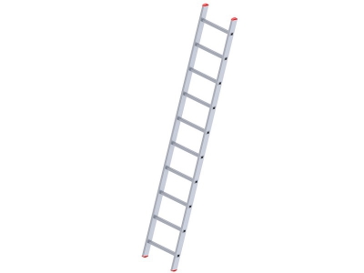 One Piece 10 Step Ladder