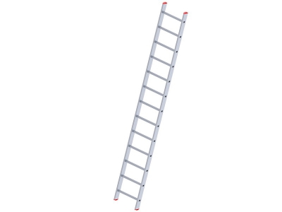 One Piece 13 Step Ladder